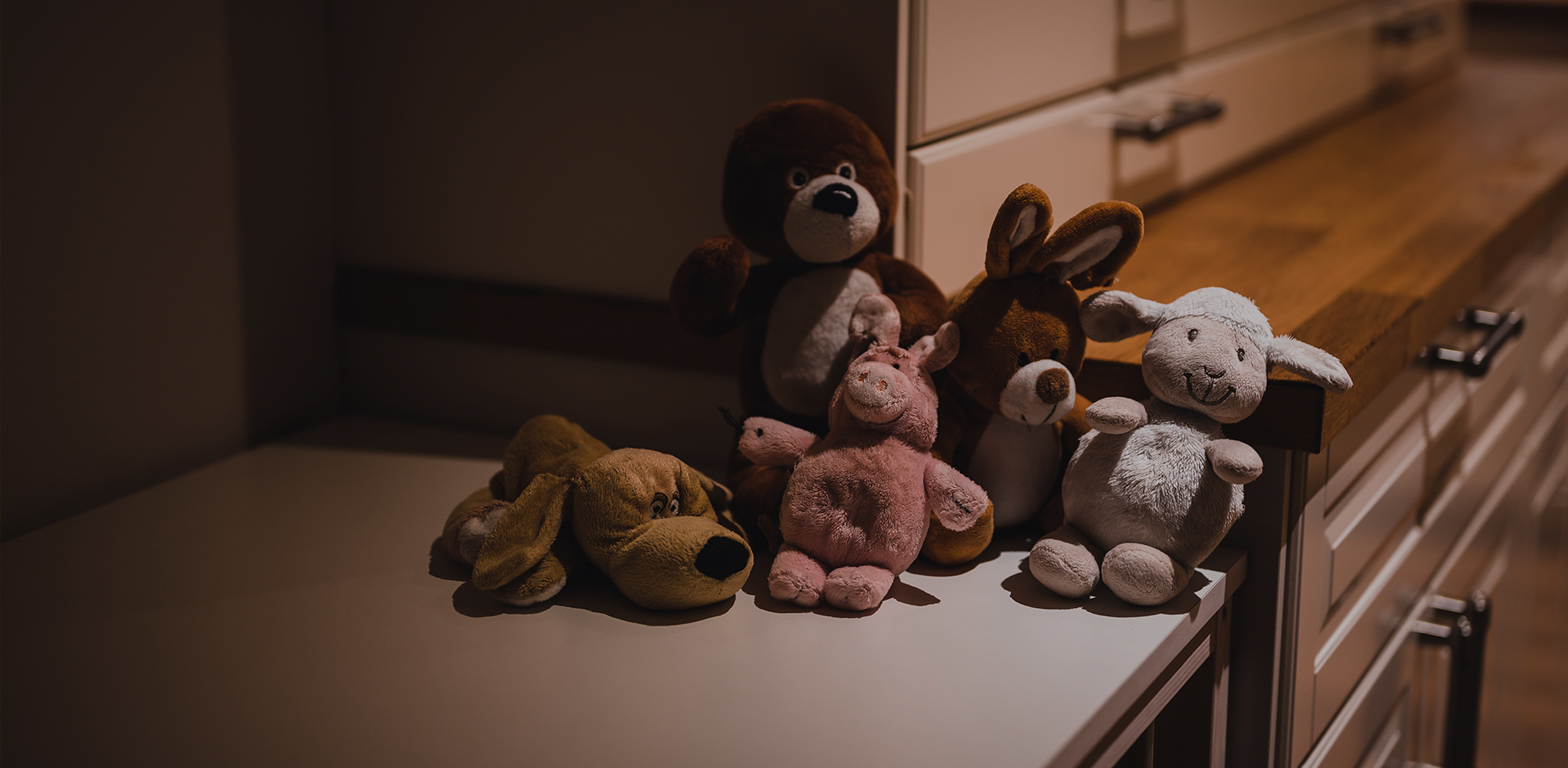 Тяньчан Bestjoy Craft & Gift Co., Ltd.